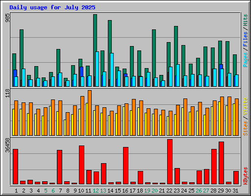 Daily usage for July 2025