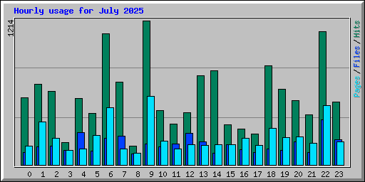 Hourly usage for July 2025