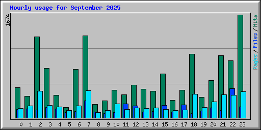 Hourly usage for September 2025