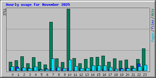 Hourly usage for November 2025