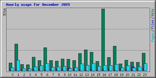 Hourly usage for December 2025