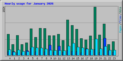 Hourly usage for January 2026