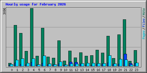Hourly usage for February 2026