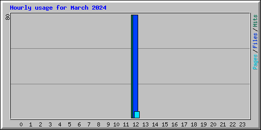 Hourly usage for March 2024